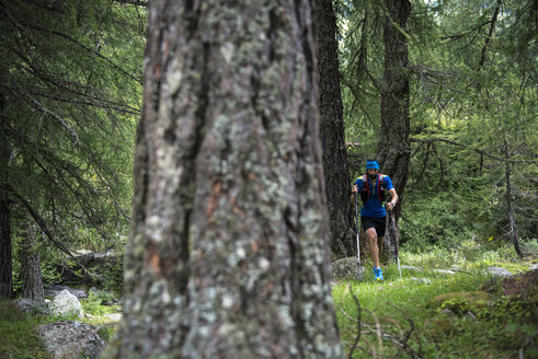 Italien, Alagna, Trailrunner unterwegs im Wald - ZOCF00261