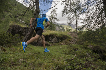 Italien, Alagna, Trailrunner unterwegs im Wald - ZOCF00263