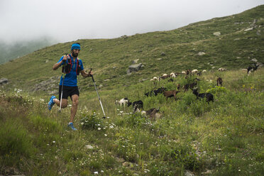 Italien, Alagna, Trailrunner unterwegs auf der Alm - ZOCF00270