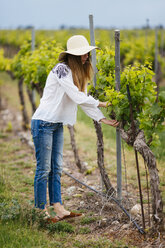 Woman checking the grapes plants - JPF00193