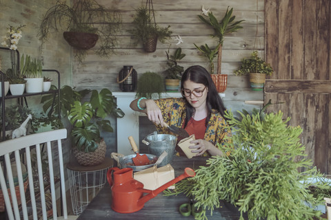 Junge Frau pflanzt Kakteen, lizenzfreies Stockfoto