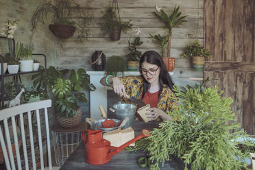 Young woman planting cactuses - RTBF00873