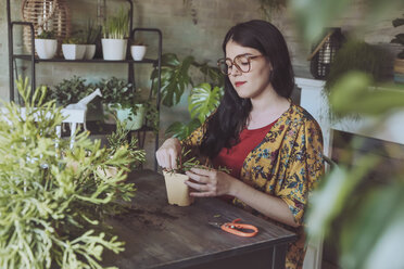 Young woman planting cactuses - RTBF00876