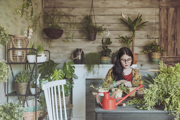 Young woman planting cactuses - RTBF00877