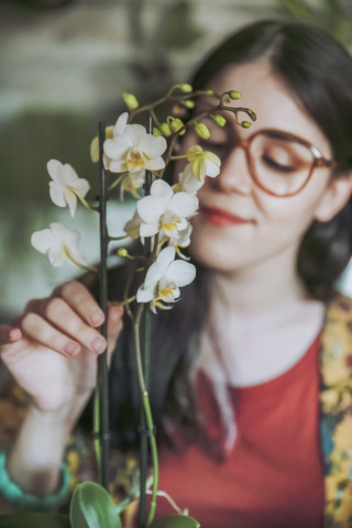 Junge Frau, die ihre Orchidee zu Hause pflegt, lizenzfreies Stockfoto