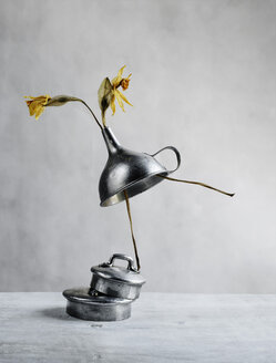 Still life with withered daffodils and funnel - NIF00085