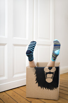 Legs of a boy inside a cardboard box painted with a lion - PSTF00004