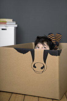 Boy inside a cardboard box painted with a cow - PSTF00019