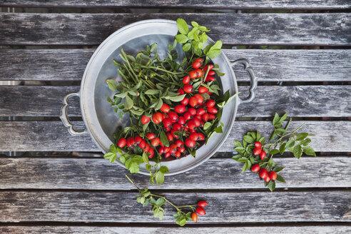 Tin bowl of rosehips on wood - GWF05206