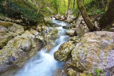 Italien, Umbrien, Fluss der Gefängnisse im Regionalpark Monte Cucco - LOMF00573