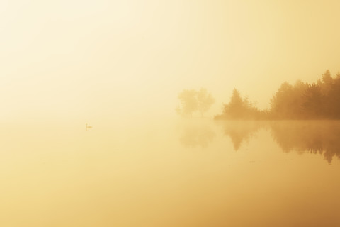 Austria, Tyrol, Lake Walchsee at haze stock photo