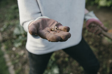 Hand einer Gärtnerin, die eine Keimknospe hält, Nahaufnahme - MFF03497