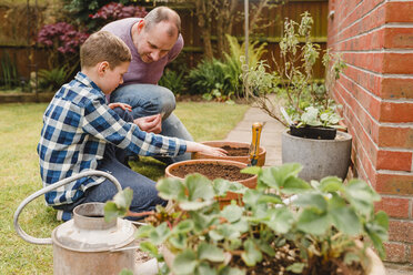 Father and son planting and sowing seeds together - NMSF00115