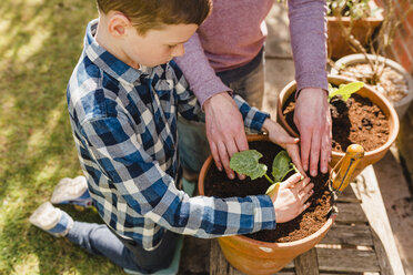 Father and son planting seedling together - NMSF00116