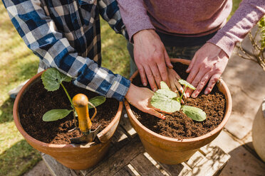 Father and son planting seedling together - NMSF00117