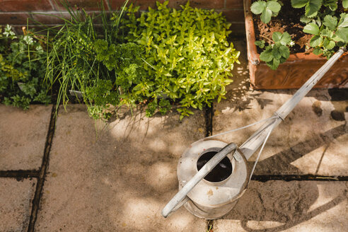 Watering can next to plants - NMSF00121