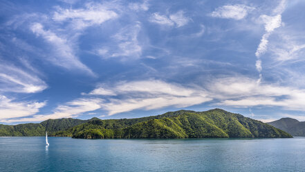 Neuseeland, Südinsel, Marlborough Sounds National Park - STSF01203