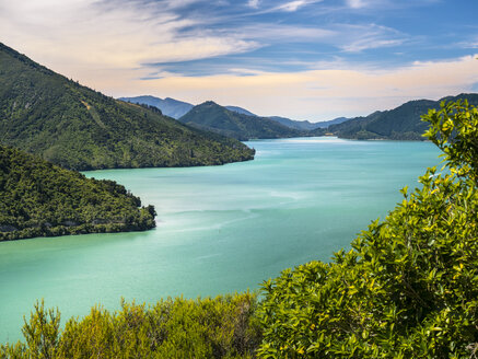 Neuseeland, Südinsel, Marlborough Sounds National Park - STSF01204