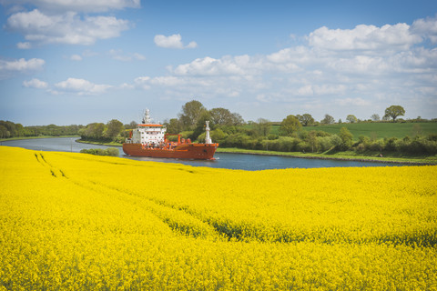 Deutschland, Schleswig-Holstein, blühendes Rapsfeld vor Nord- und Ostseekanal, lizenzfreies Stockfoto