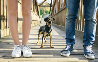 Hund zwischen den Beinen eines Paares auf einer Brücke - DAPF00747