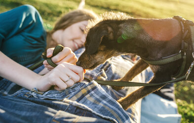 Young couple lying on blanket on a meadow playing with the dog - DAPF00759