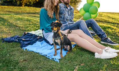 Junges Paar auf einer Decke sitzend auf einer Wiese mit ihrem Hund - DAPF00760