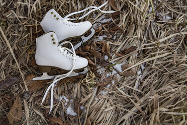 Schlittschuhe liegen im eisigen Unkraut - MFF03522