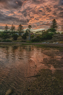 Australien, Eyre Peninsula, Port Lincoln, Strand bei Sonnenuntergang - TOVF00078