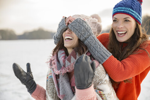 Playful friends on frozen lake - MFF03544