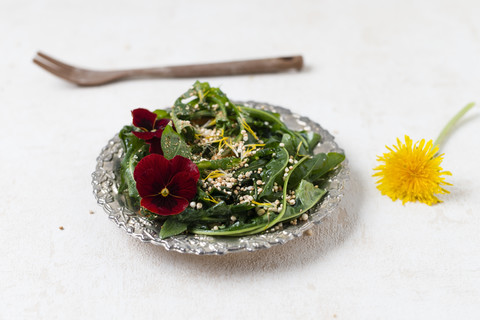 Löwenzahnsalat mit Hornveilchen und gepufftem Quinoa, lizenzfreies Stockfoto