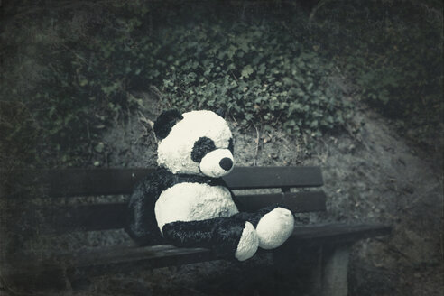 Panda soft toy on a bench - DWIF00855