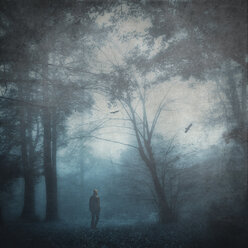 Man on forest glade in twilight - DWIF00861
