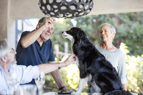 Senioren zusammen auf der Terrasse und geben dem Hund seine Leckerlis, lizenzfreies Stockfoto