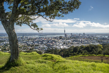 New Zealand, North Island, Mount Eden, Auckland, cityscape - STSF01210