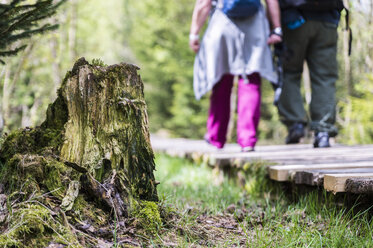 Germany, Fulda, Rhoen, two hikers on a boardwalk in forest - FRF00510