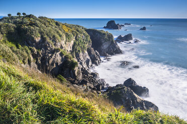 New Zealand, South Island, Westcoast, Tauranga Bay, Cape Foulwind - STSF01213