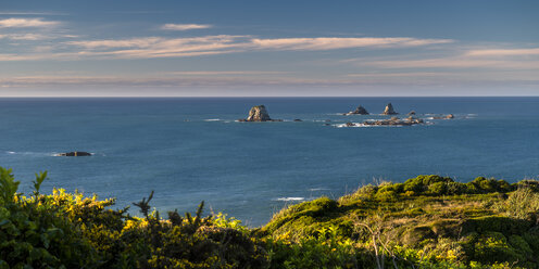 Neuseeland, Südinsel, Westküste, Tauranga Bay, Cape Foulwind - STSF01216