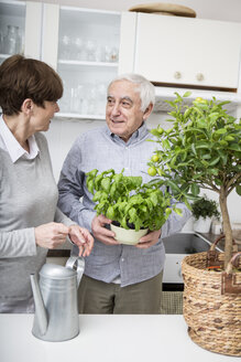 Senior couple watering potted plants in kitchen - WESTF23381