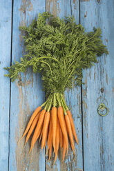 Bunch of carrots on blue wood - ODF01519