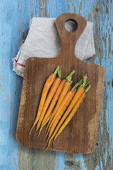 Grilled carrots on wooden board - ODF01520