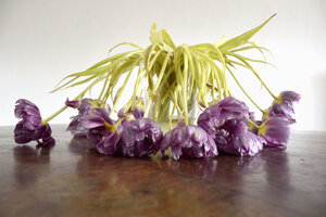 Verwelkte Tulpen in einer Vase auf einem Holztisch - AXF00798