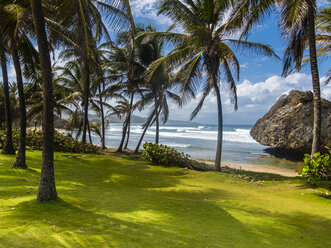 Karibik, Barbados, St. Joseph, Bathsheba Park - AMF05398