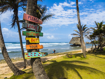 Karibik, Barbados, Saint Joseph, Schilder an der Palme im Bathsheba Park - AMF05399