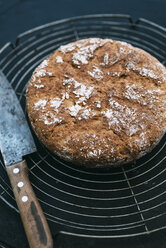 Amaranth Spelt bread and knife on cooling grid - IPF00388