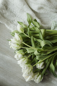 Weiße Tulpen - ASCF00744