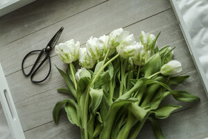 Weiße Tulpen und Schere auf Holztablett - ASCF00745