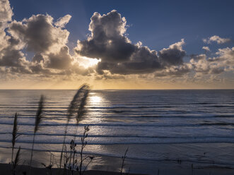 Neuseeland, Nordinsel, Raglan, Ngarunui Beach bei Sonnenuntergang - STSF01228
