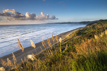 New Zealand, North Island, Raglan, Ngarunui Beach in the evening - STSF01229