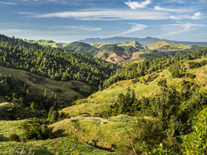 Neuseeland, Nordinsel, Region Waikato, Landschaften - STSF01231