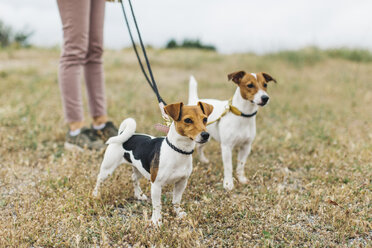 Frau beim Spaziergang mit ihren beiden Hunden - JPF00212